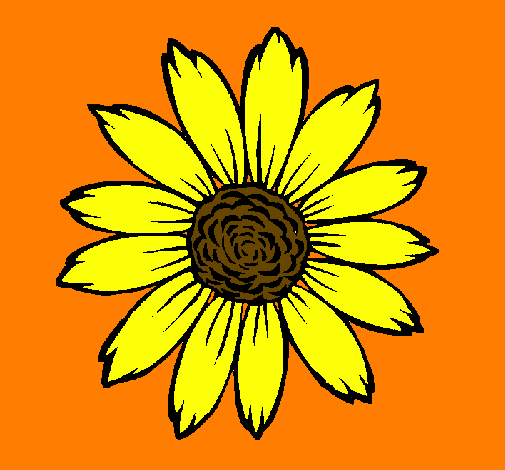 GIRASOL EN DIBUJO - Imagui