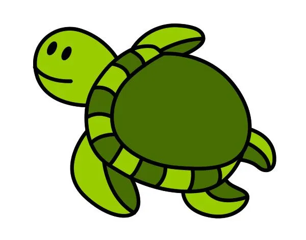 Tortugas en dibujo - Imagui