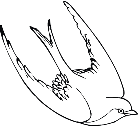 Dibujo de Golondrina para colorear | Dibujos para colorear ... Dibujo de Golondrina para colorear | Dibujos para colorear ...