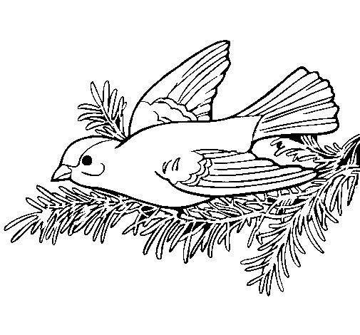 Dibujo de Golondrina para Colorear - Dibujos.net Dibujo de Golondrina para Colorear - Dibujos.net