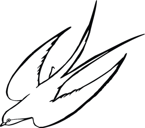 Dibujo de Golondrina Volando para colorear | Dibujos para colorear ... Dibujo de Golondrina Volando para colorear | Dibujos para colorear ...