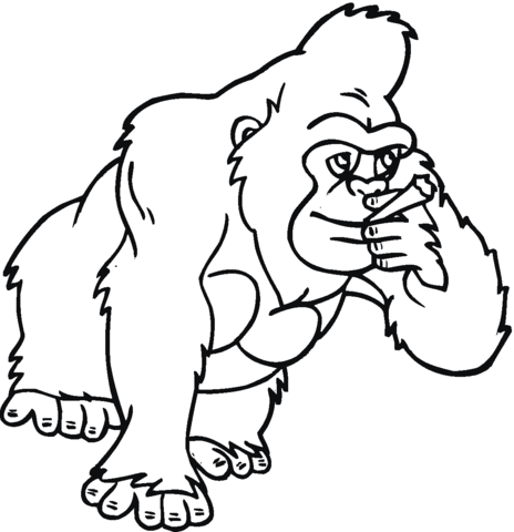 Dibujo de Gorila, primate para colorear | Dibujos para colorear ... Dibujo de Gorila, primate para colorear | Dibujos para colorear ...