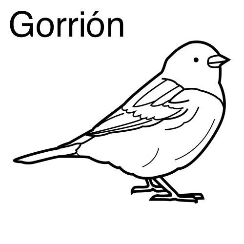 Dibujo de gorrion - Imagui