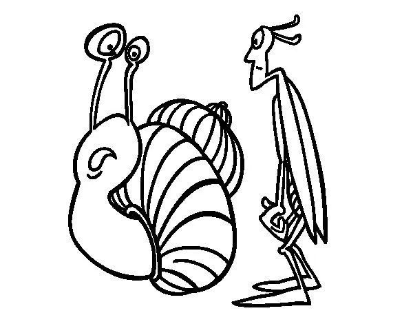Dibujo de Grillo y Caracol para Colorear - Dibujos.net Dibujo de Grillo y Caracol para Colorear - Dibujos.net