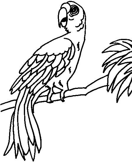 Imagen para colorear de guacamayas - Imagui