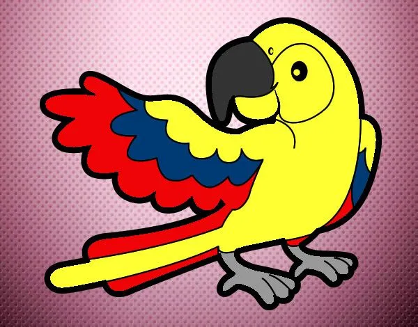 Dibujo de guacamaya ermosa pintado por Miriolas en Dibujos.net el ... Dibujo de guacamaya ermosa pintado por Miriolas en Dibujos.net el ...