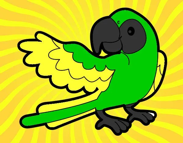 Dibujo de guacamayo amarillo y verde pintado por Marqui en Dibujos ...