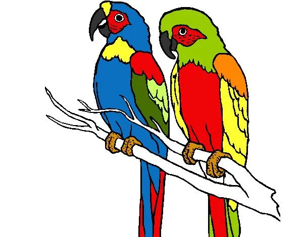 Dibujo de guacamayo proyecto cole pintado por Shakura_75 en ... Dibujo de guacamayo proyecto cole pintado por Shakura_75 en ...