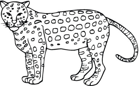 Dibujo de Guepardo a lunares para colorear | Dibujos para colorear ...