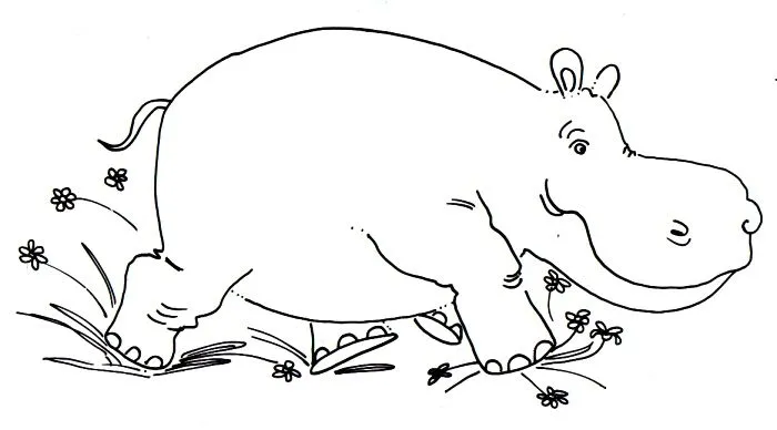 Dibujo de hipopotamo - Imagui