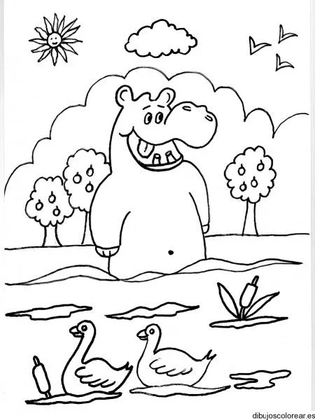 Dibujo de un hipopótamo y dos patos | Dibujos para Colorear