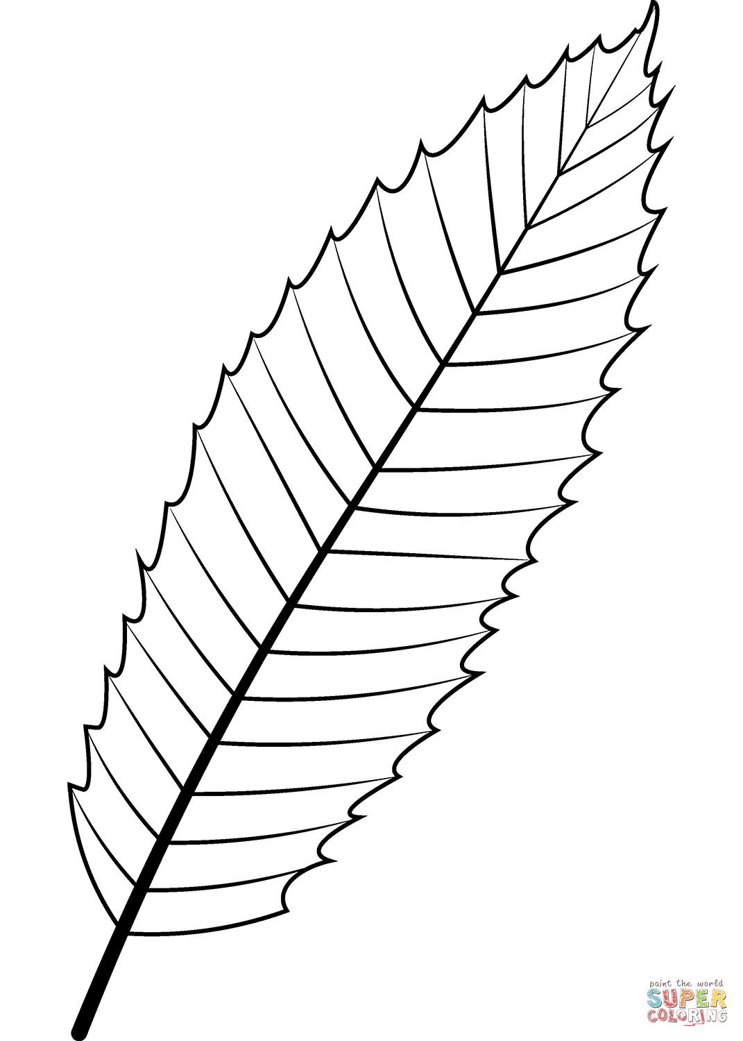 Dibujo de hoja de castaño europeo para colorear | Dibujos para colorear imprimir gratis Dibujo de hoja de castaño europeo para colorear | Dibujos para colorear imprimir gratis