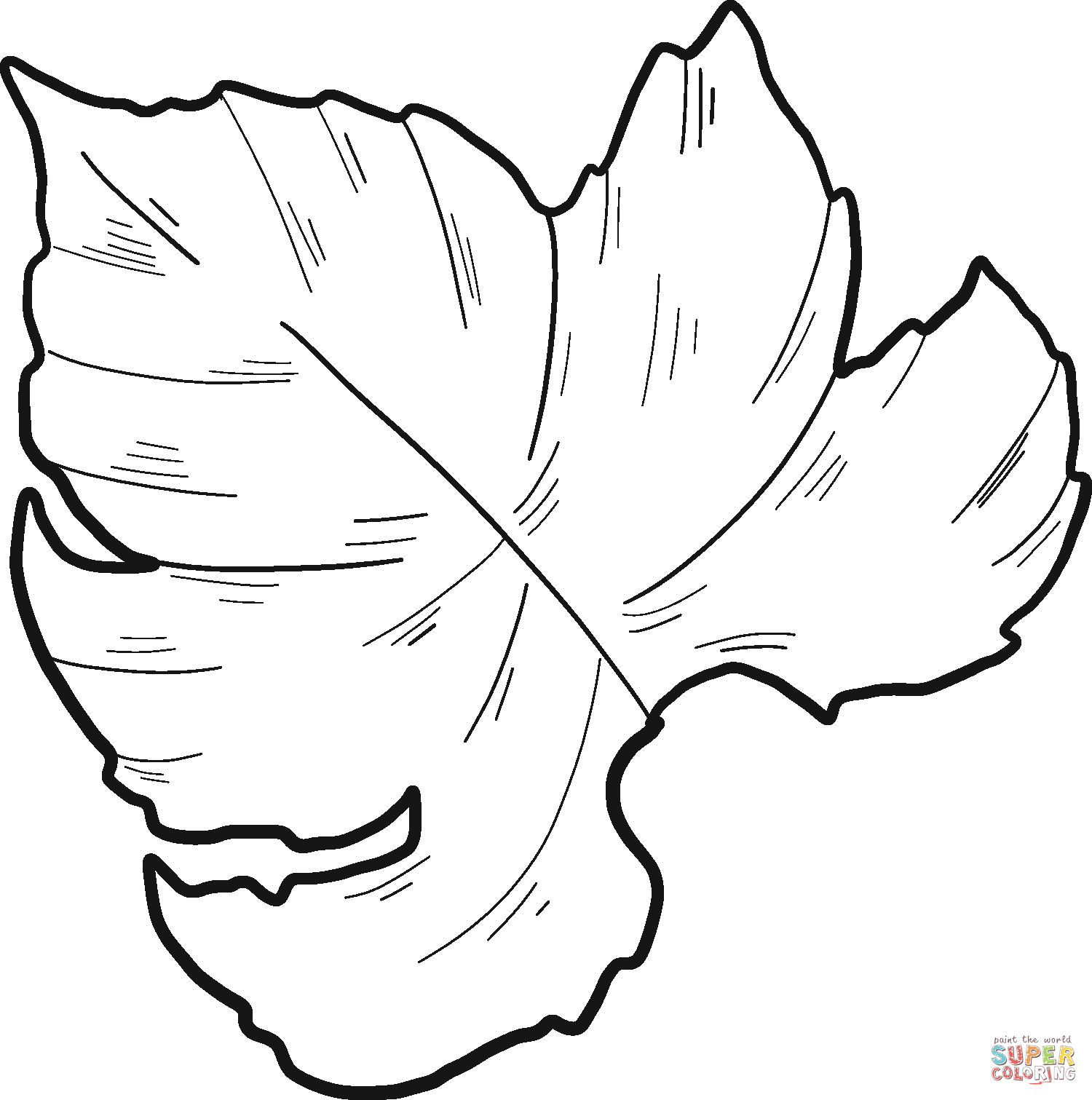 Dibujo de hoja de uva para colorear | Dibujos para colorear imprimir gratis Dibujo de hoja de uva para colorear | Dibujos para colorear imprimir gratis