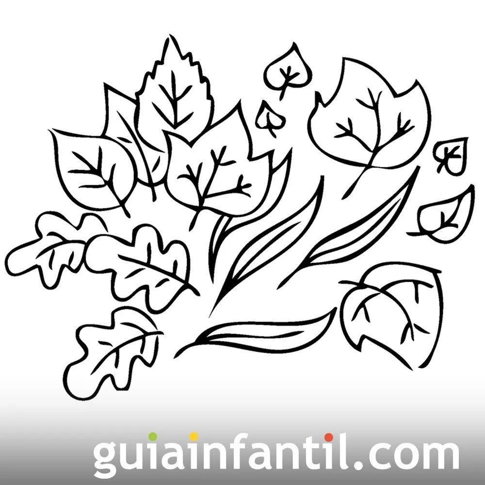 Dibujo de hojas en otoño para colorear