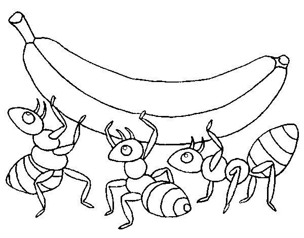Dibujo de Hormigas con plátano para Colorear - Dibujos.net Dibujo de Hormigas con plátano para Colorear - Dibujos.net