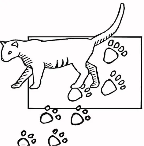 Dibujo de Huellas de Felino para colorear | Dibujos para colorear ...