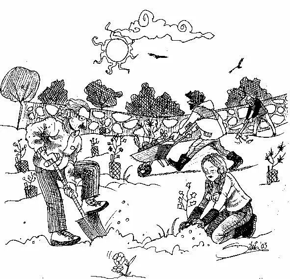 Dibujo huerto para colorear - Imagui