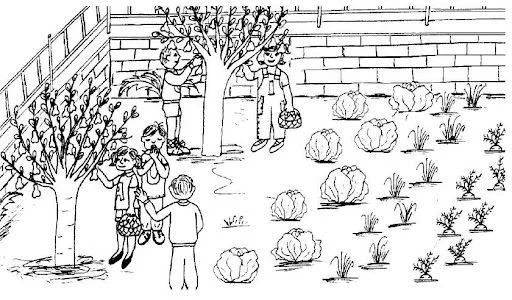 Dibujos para colorear sobre huerto escolar - Imagui Dibujos para colorear sobre huerto escolar - Imagui