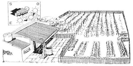 Planificación del huerto - Monografias.com