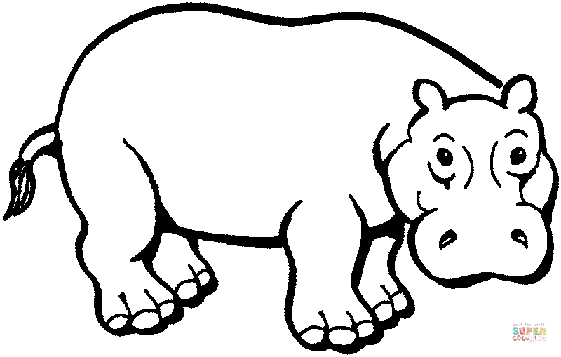 Dibujo de Ilustración de un Hipopótamo para colorear | Dibujos ... Dibujo de Ilustración de un Hipopótamo para colorear | Dibujos ...