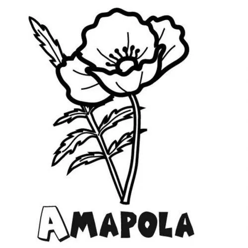 Dibujo para imprimir y colorear de amapolas