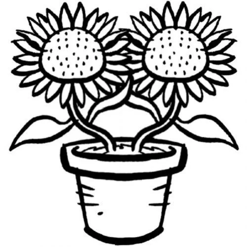 Plantas imagenes para pintar - Imagui