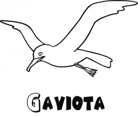 14078-4-dibujos-gaviota.jpg