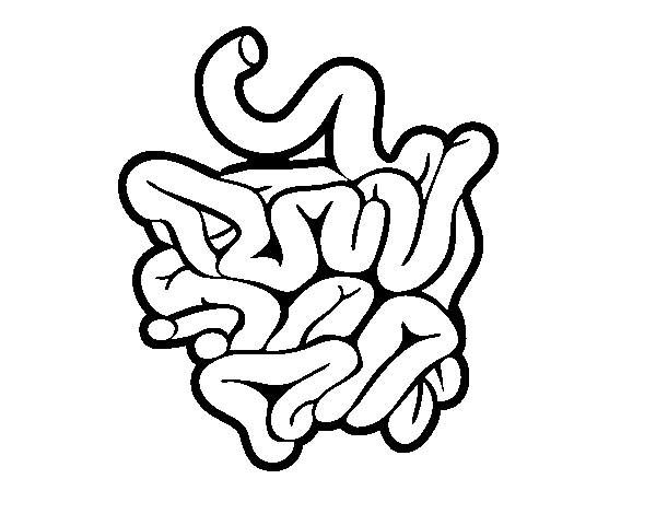 Dibujo de Intestino delgado para Colorear - Dibujos.net Dibujo de Intestino delgado para Colorear - Dibujos.net