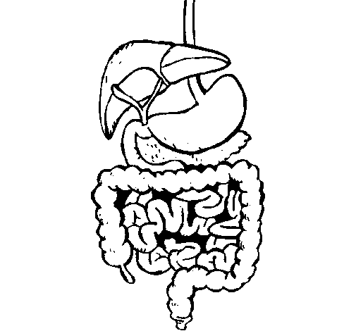 Dibujo de Intestinos para Colorear - Dibujos.net