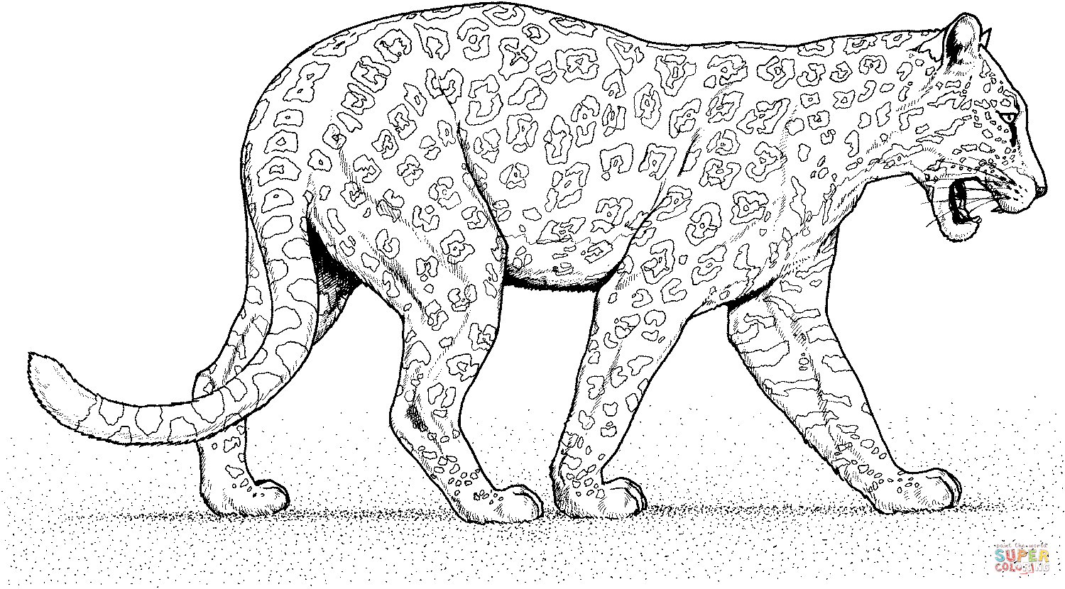 Dibujo de Jaguar Caminando para colorear | Dibujos para colorear ... Dibujo de Jaguar Caminando para colorear | Dibujos para colorear ...