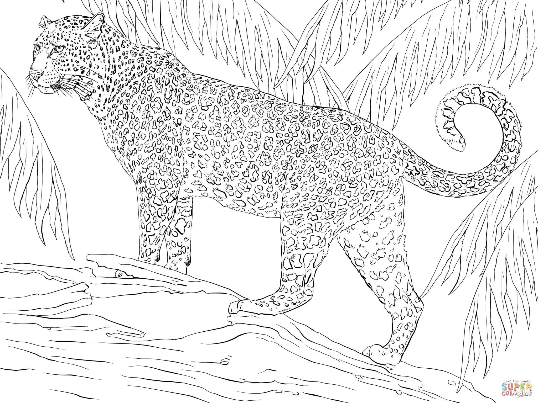 Dibujo de Jaguar para colorear | Dibujos para colorear imprimir gratis Dibujo de Jaguar para colorear | Dibujos para colorear imprimir gratis
