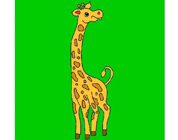 Dibujo de JOOZ pintado por Jimmyclash en Dibujos.net el día 19-03 ...