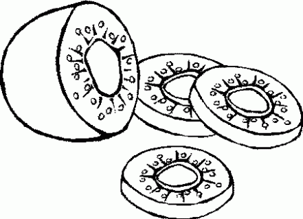 Dibujo de Kiwis. Dibujo para colorear de Kiwis. Dibujos infantiles ... Dibujo de Kiwis. Dibujo para colorear de Kiwis. Dibujos infantiles ...