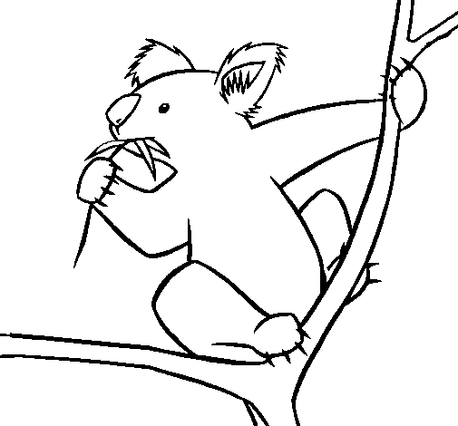 Dibujo de Koala para Colorear - Dibujos.net Dibujo de Koala para Colorear - Dibujos.net