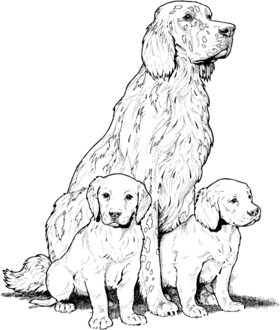 Dibujo de Labrador con Cachorros para colorear | Dibujos para ...