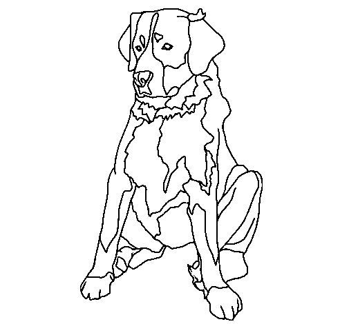 Dibujo de Labrador para Colorear - Dibujos.net