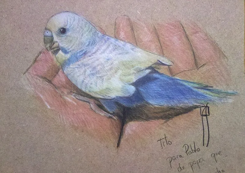 dibujo con lápices de colores | Flickr - Photo Sharing! dibujo con lápices de colores | Flickr - Photo Sharing!