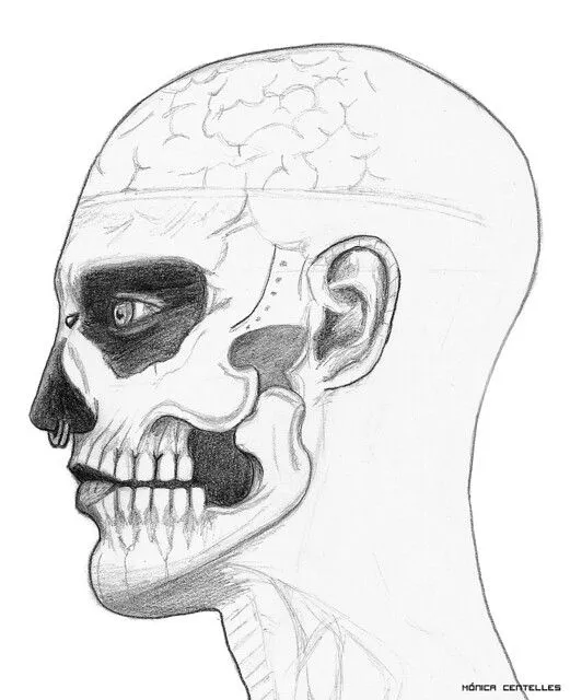 Dibujo a lapiz calavera - Imagui