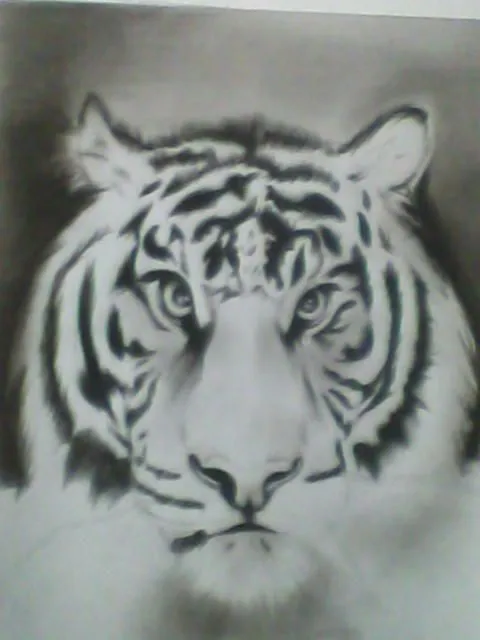 Mi Dibujo a Lapiz Carbon [ Un Tigre ] - Taringa!