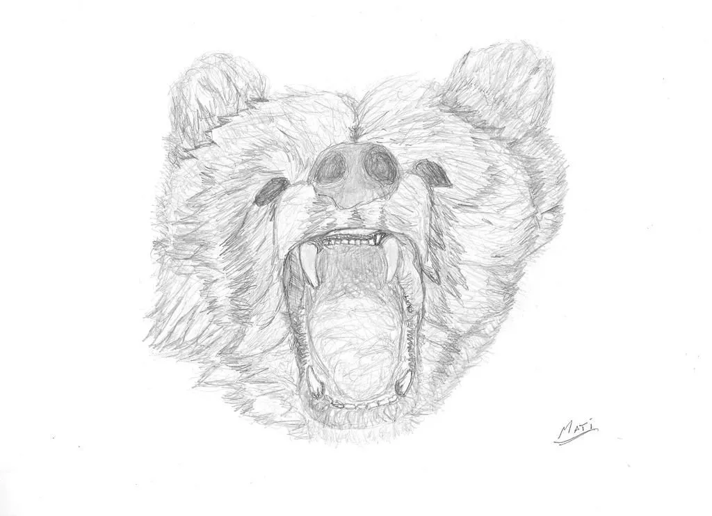 Dibujo A Lapiz Oso by matidefagot on DeviantArt Dibujo A Lapiz Oso by matidefagot on DeviantArt