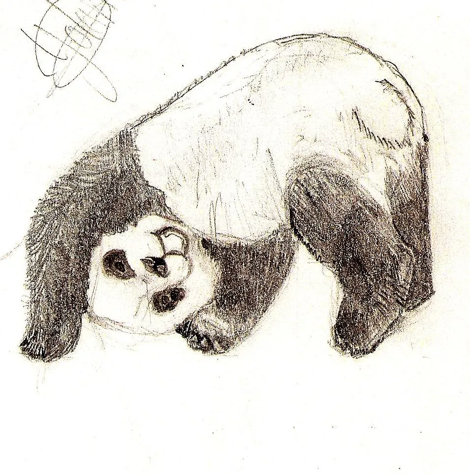 oso panda | Paraísos surrealistas y otros lugares y seres oso panda | Paraísos surrealistas y otros lugares y seres