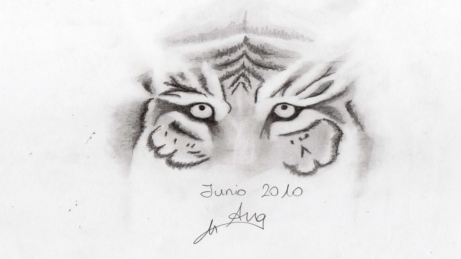 Dibujo A Lapiz De Tigre Dibujos A Lapiz MEMES Pictures