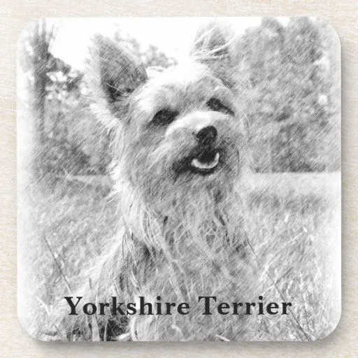 Dibujo de lápiz de Yorkshire Terrier Posavaso | Zazzle Dibujo de lápiz de Yorkshire Terrier Posavaso | Zazzle