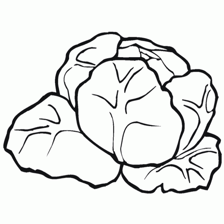 Dibujo de Lechuga para colorear. Dibujos infantiles de Lechuga ... Dibujo de Lechuga para colorear. Dibujos infantiles de Lechuga ...