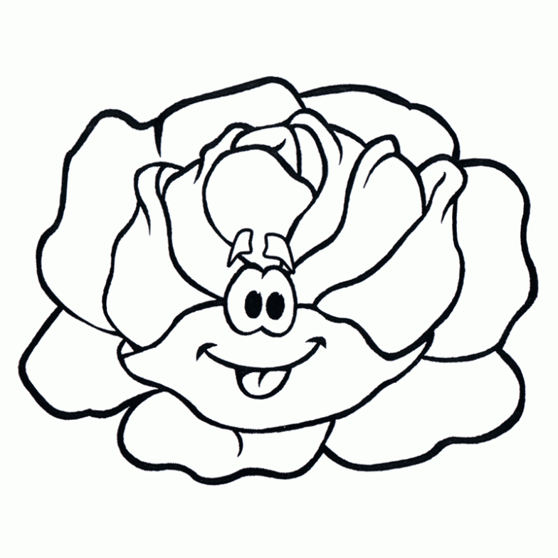 Dibujo de Lechuga para colorear. Dibujos infantiles de Lechuga ... Dibujo de Lechuga para colorear. Dibujos infantiles de Lechuga ...