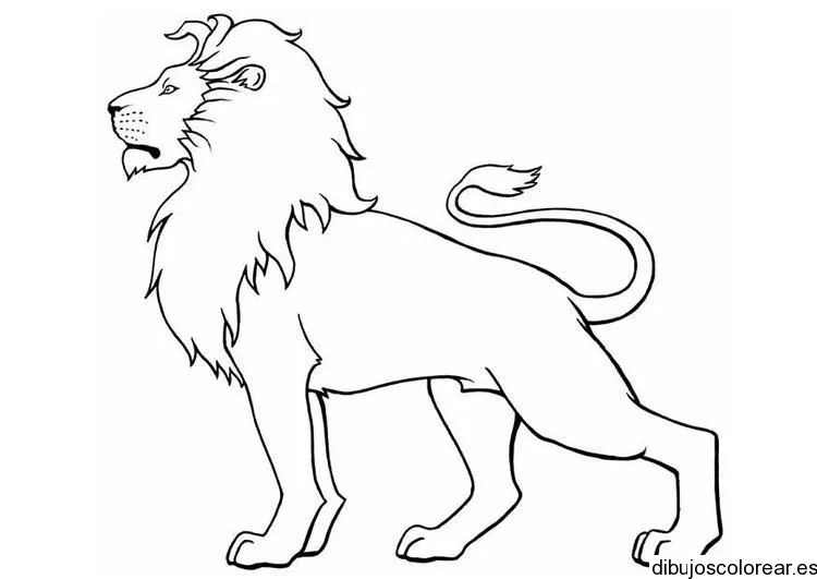 Dibujos de Animales | Dibujos para Colorear