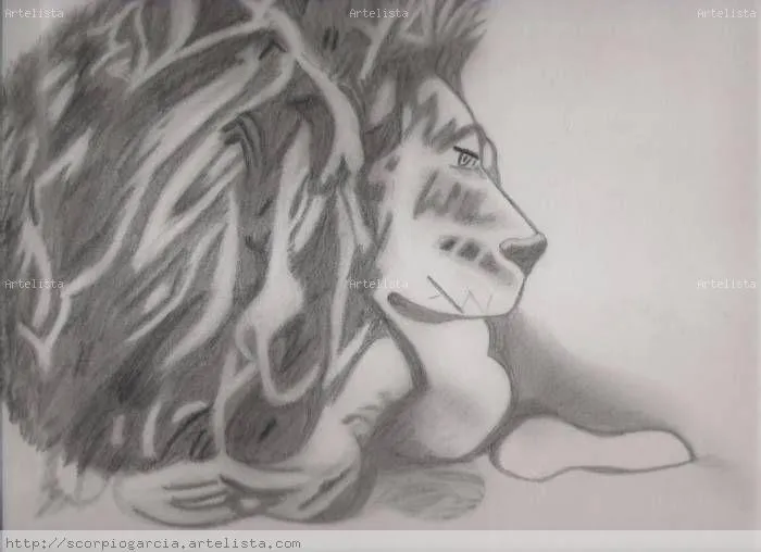 Leon dibujo a lapiz facil - Imagui