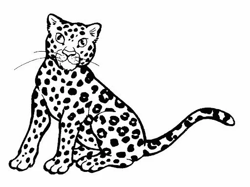 DIBUJO DE LEOPARDO