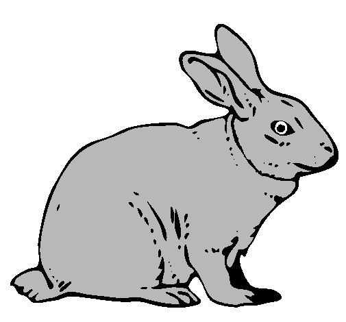 Dibujo de Liebre pintado por Cavall en Dibujos.net el día 02-10-10 ...