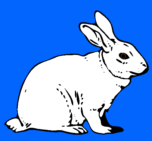 Dibujo de Liebre pintado por Eli en Dibujos.net el día 22-08-10 a ...